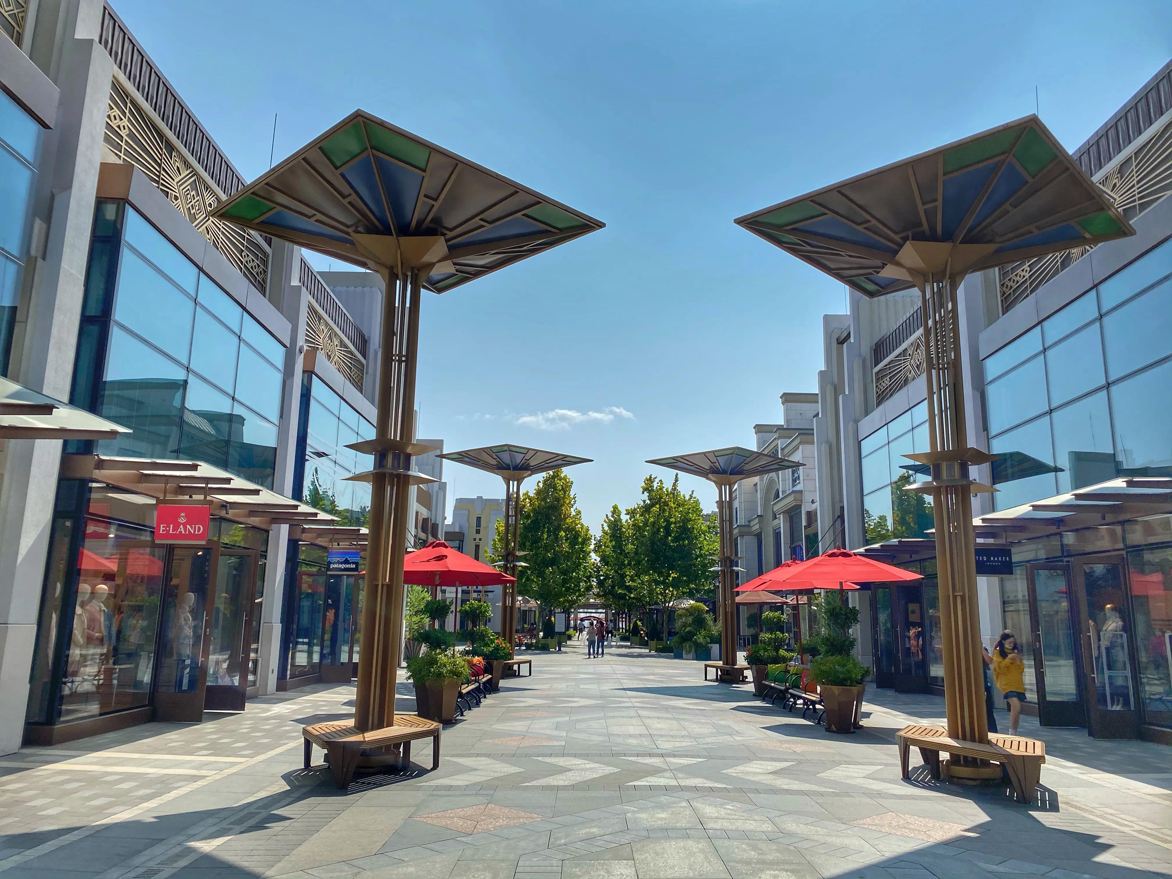 奕欧来可以带狗吗,奕欧来可以带宠物吗