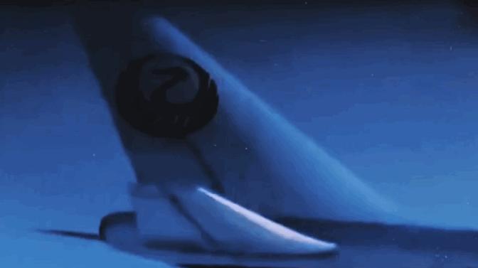 日本航空123号班机空难事件纪实,日本航空123号空难4人幸存现状