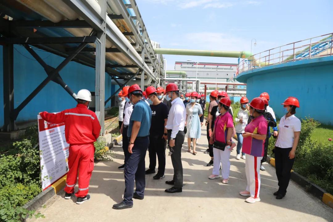 白城市梅花集团,梅花集团白城基地