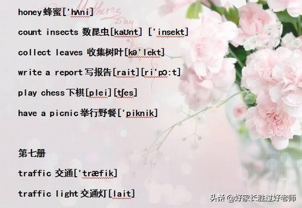 小学英语“单词表+音标”！给孩子贴墙上背熟，初中都领先一大截