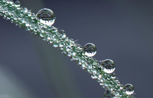 期货交易法则及方法,期货交易之道视频大全