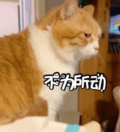 防骗悬疑剧《猎心者》热播中，中老年人更需要提高防骗意识！