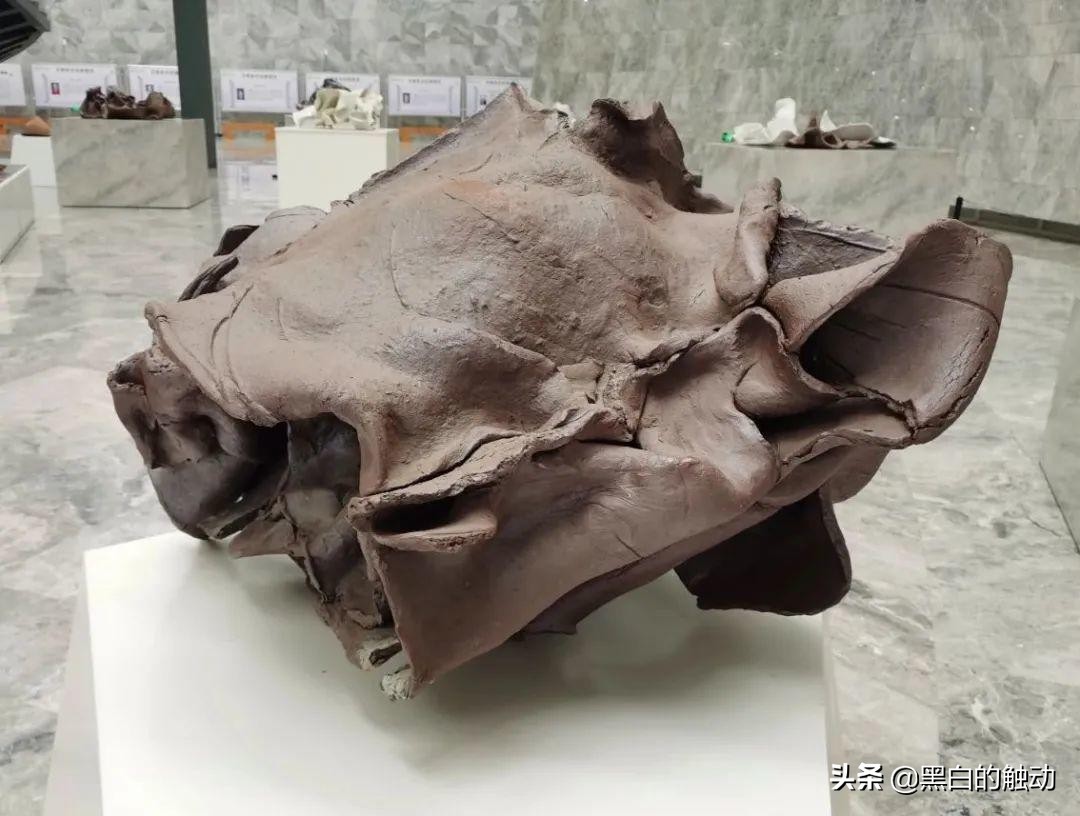 欧洲中世纪皇室有多稀罕中国瓷器,法国皇室对中国的瓷器痴狂