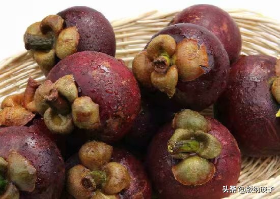 山竹那么好吃你会挑选山竹吗,山竹怎么选又大又多又好吃的