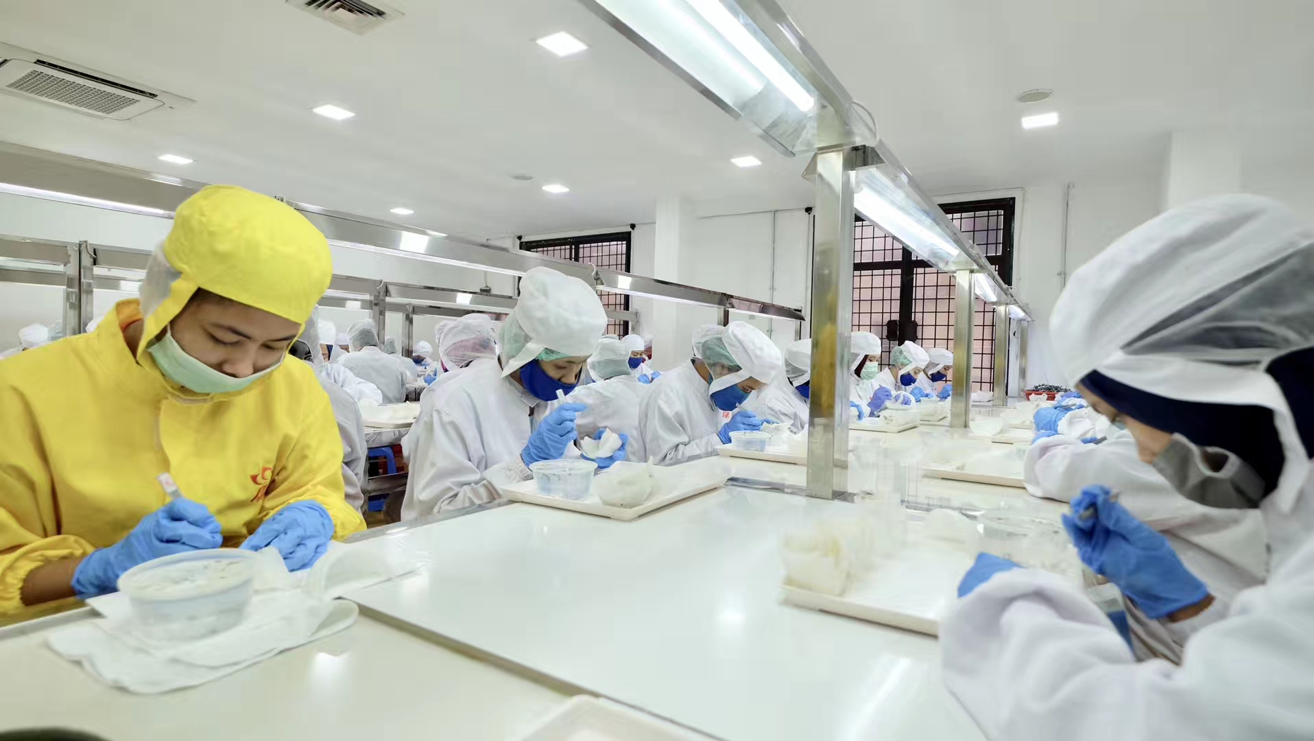 印尼燕窝和越南燕窝哪个好,印尼燕窝和马来燕窝怎么区分