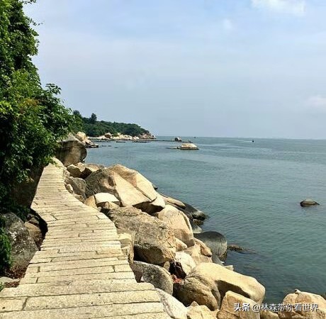 林森带你看世界——中国最美的海岛之：珠海东澳岛