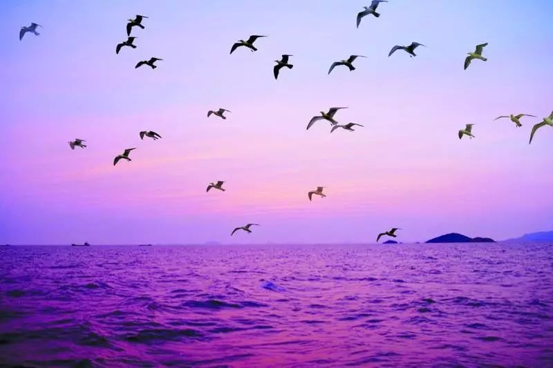 消费低免签国家,推荐几个消费超低免签的几个国家