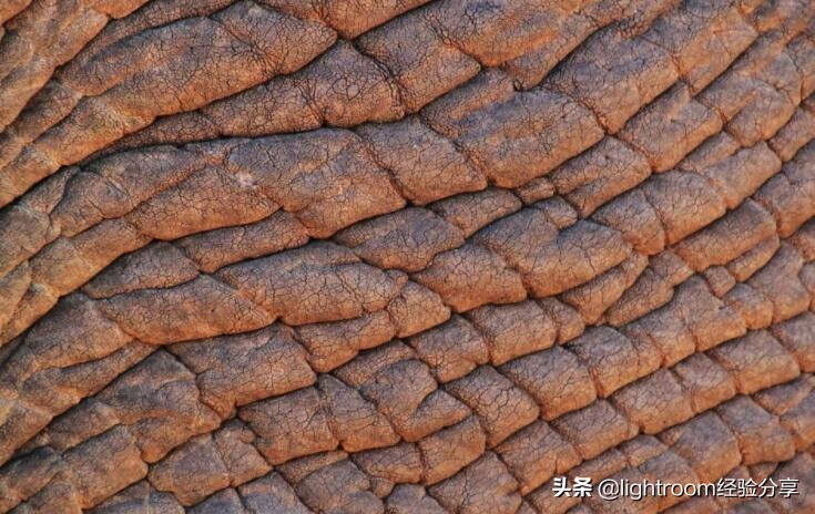 如何拍摄光线纹理照片好看,纹理的拍摄图片技巧有哪些