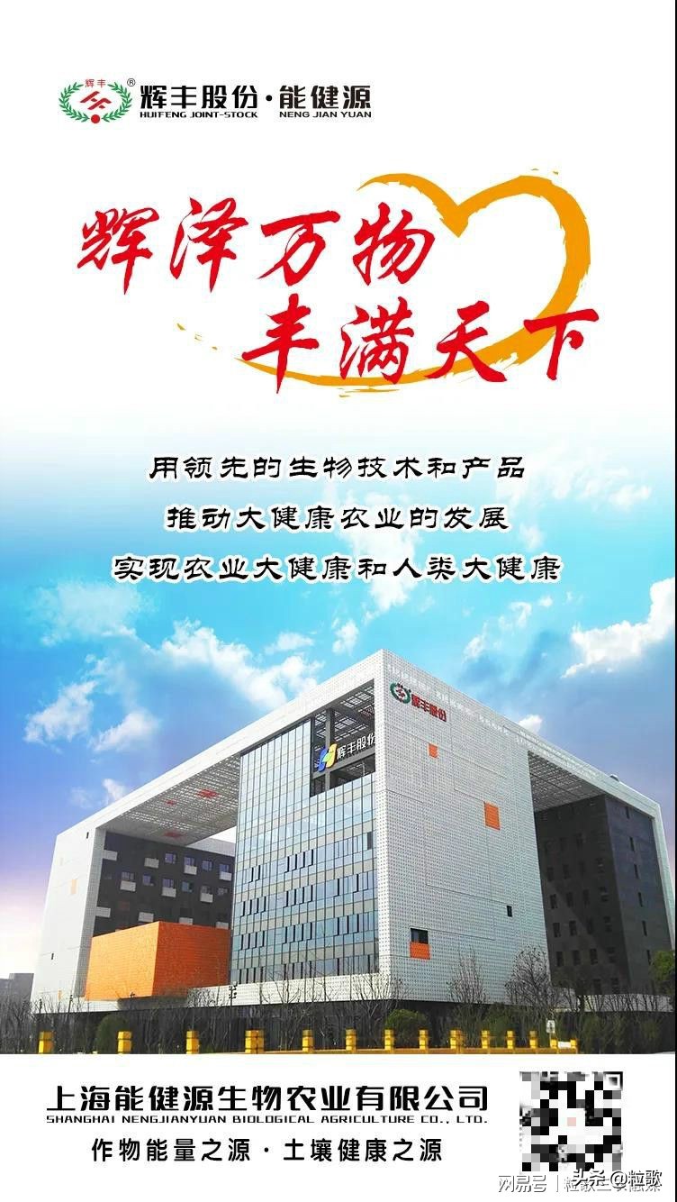 高产小麦示范田的标准及管理,能百旺在作物上一年使用几次