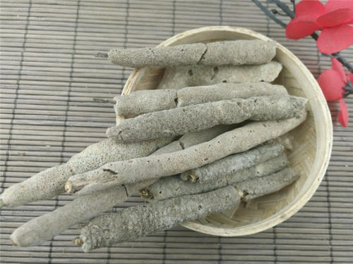 紫梢花，又名淡水海绵，能补肾，益精，助阳