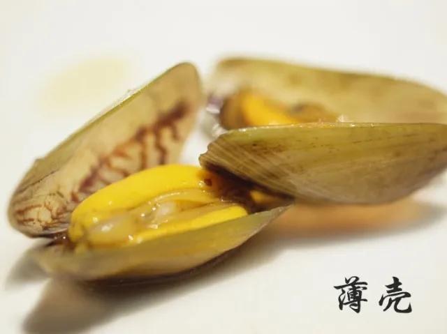 潮汕炒薄壳金不换 (潮汕炒薄壳)