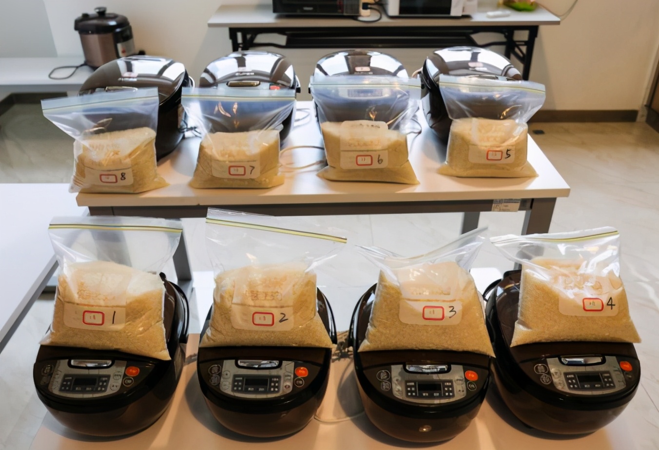 4种高标准的大米评测,大米快来看看你选对了吗