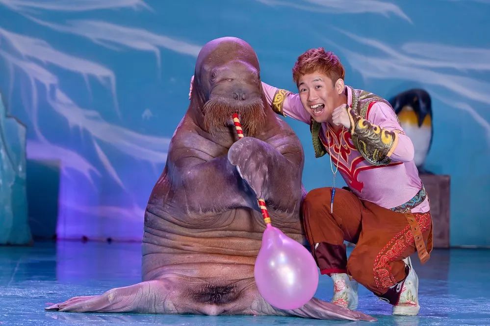 元宵节免费景点,神兽放假旅游