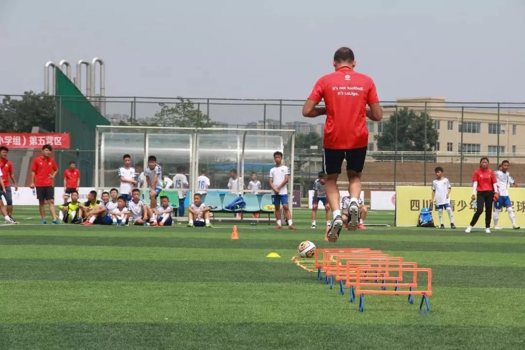 2023年熊猫夏令营,2019熊猫夏令营