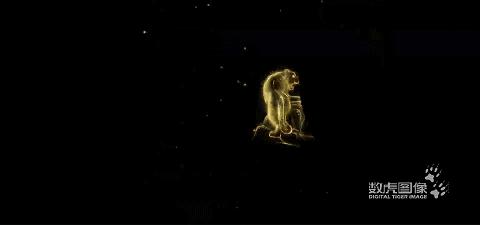 中秋国庆灯光秀节目单,国庆中秋灯光秀视频