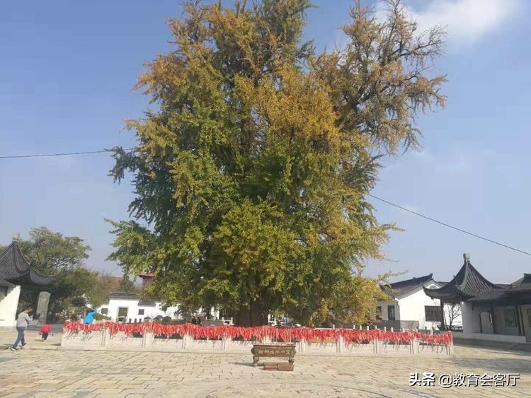 金秋旅游视频模板,国庆郯国古城游玩攻略