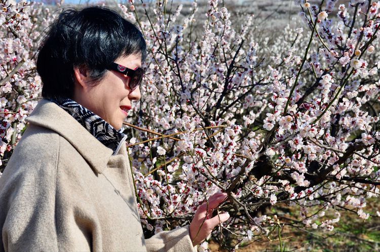 傅家边野营,走进金溪傅家村