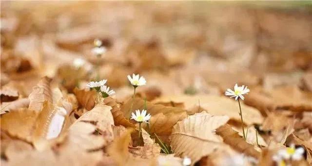 小成本创业开店项目,创业开店项目小成本