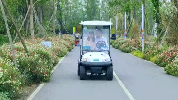 国庆假期去哪里啊,国庆去哪里嗨翻天