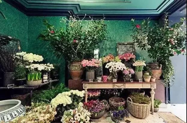 新手开花店怎样入门,怎么快速学开花店