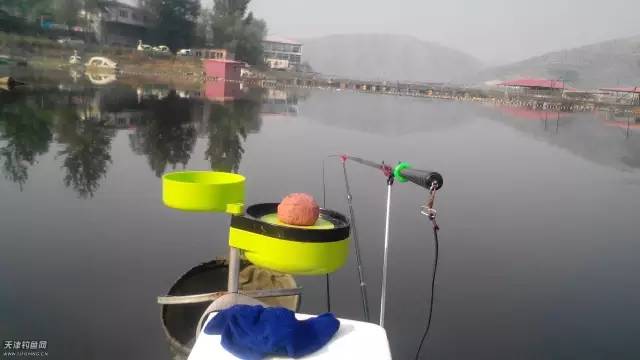 野钓饵料套装测试排名第一,钓饵品牌推荐