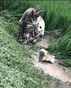 刚从后院挖出来的,大家帮我鉴定一下,我是不是要发财了?