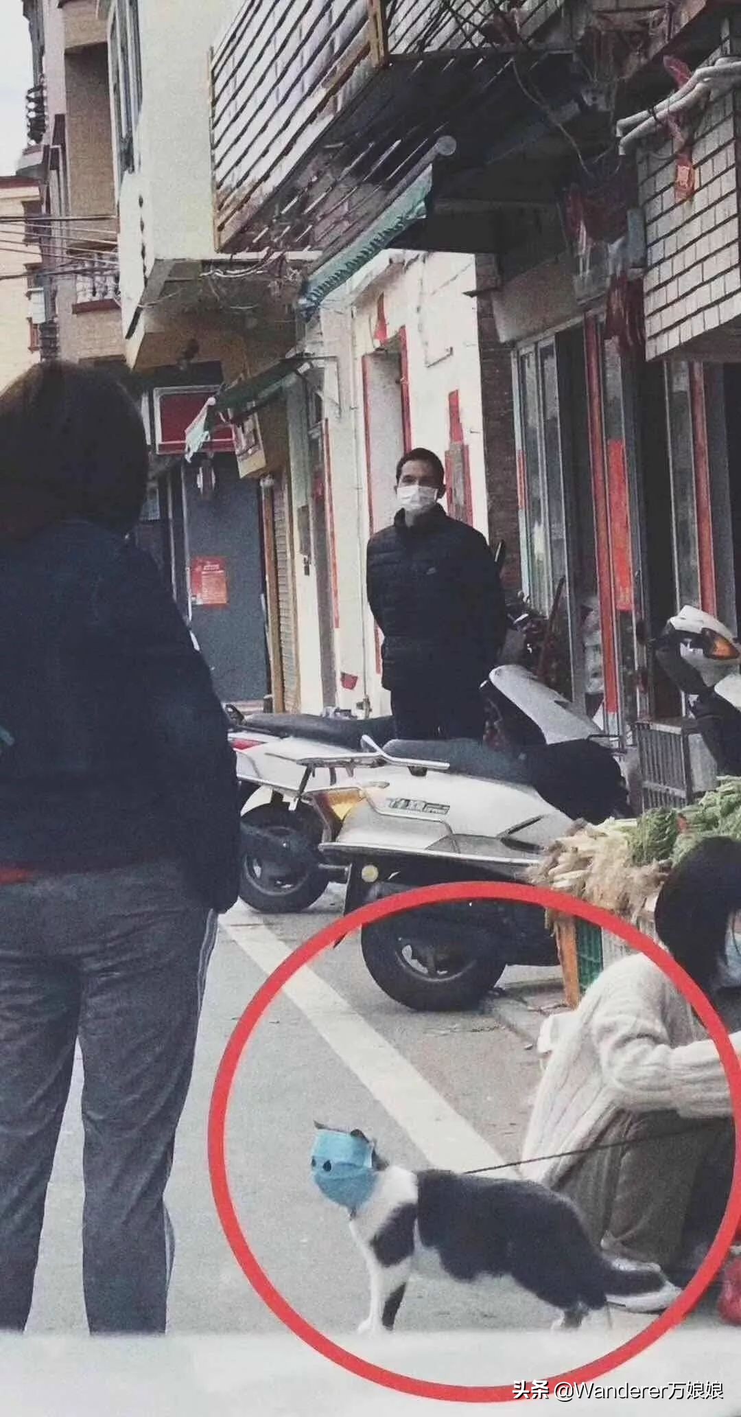 多亏这些宝藏网友，让我笑到免疫力增强