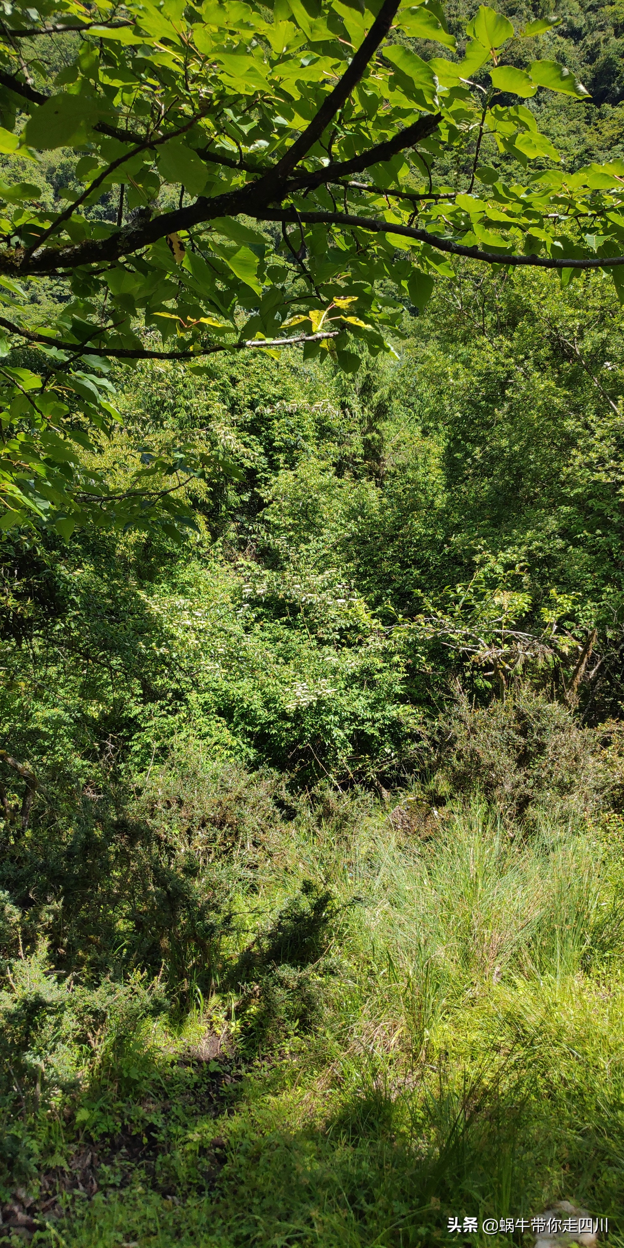 带小朋友出去看小动物,带小孩去海洋动物园