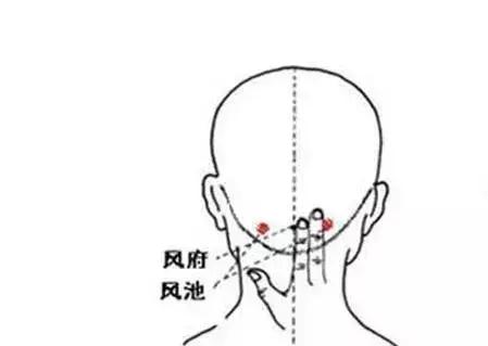 伤寒论针灸手法视频,伤寒解表的针灸穴位