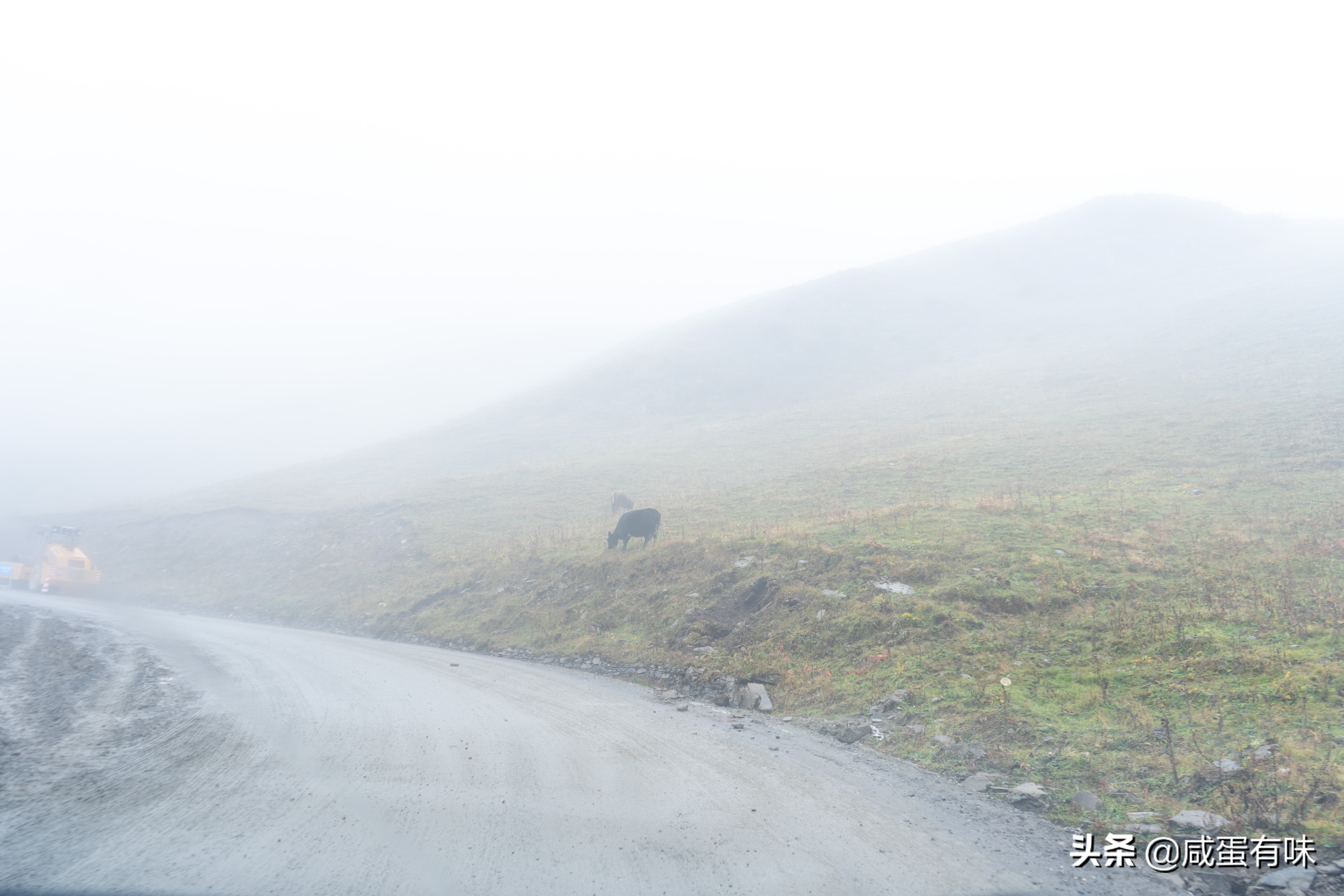 你好，夹金山：让我遇见不一样的你
