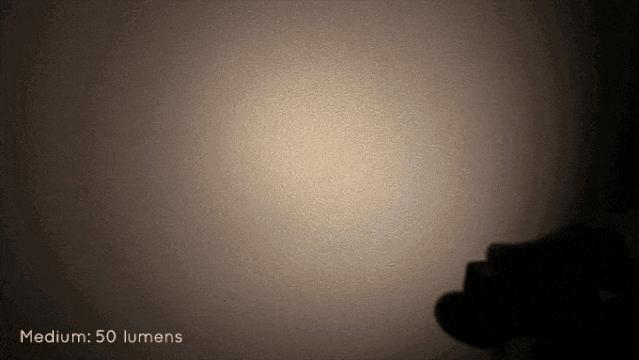 野外必备EDC，一把刀+一个手电，防尘防水耐摔，自己就能去冒险