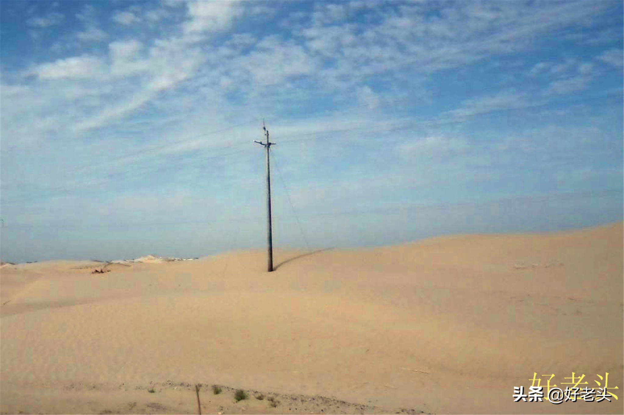 库尔勒轮台胡杨林风景区,胡杨林景区轮台