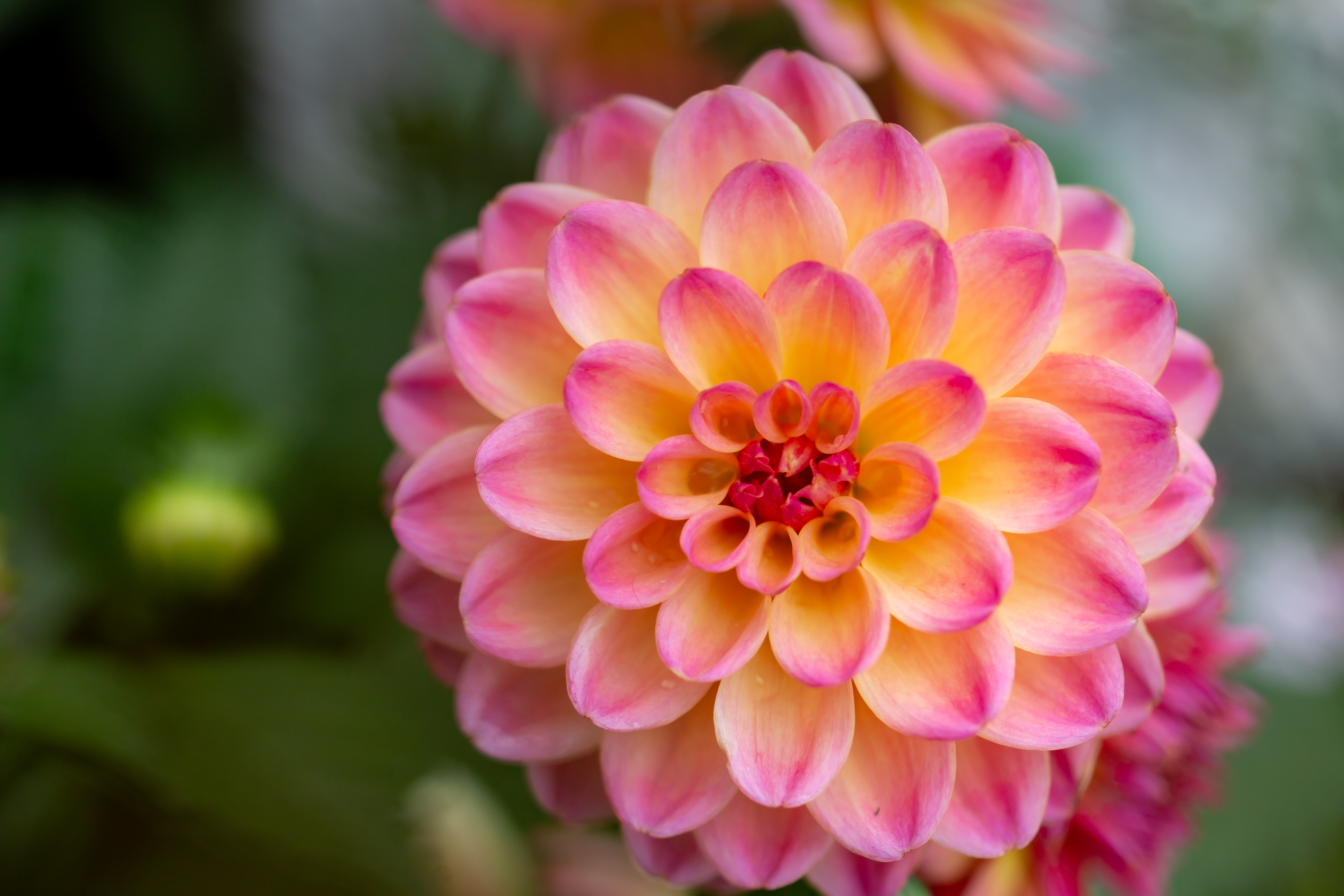 拍照用什么对焦模式比较好,精准对焦怎么拍照