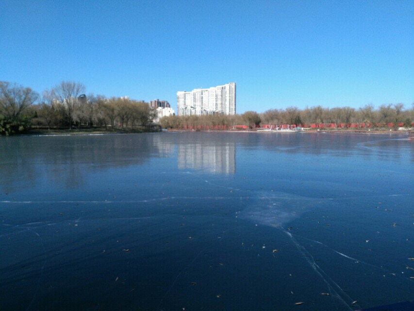 畸形的爱,畸形的爱情电影