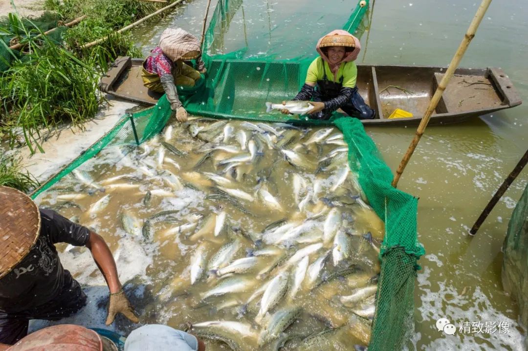 拾光汇影|第六期·珠海斗门白藤湖