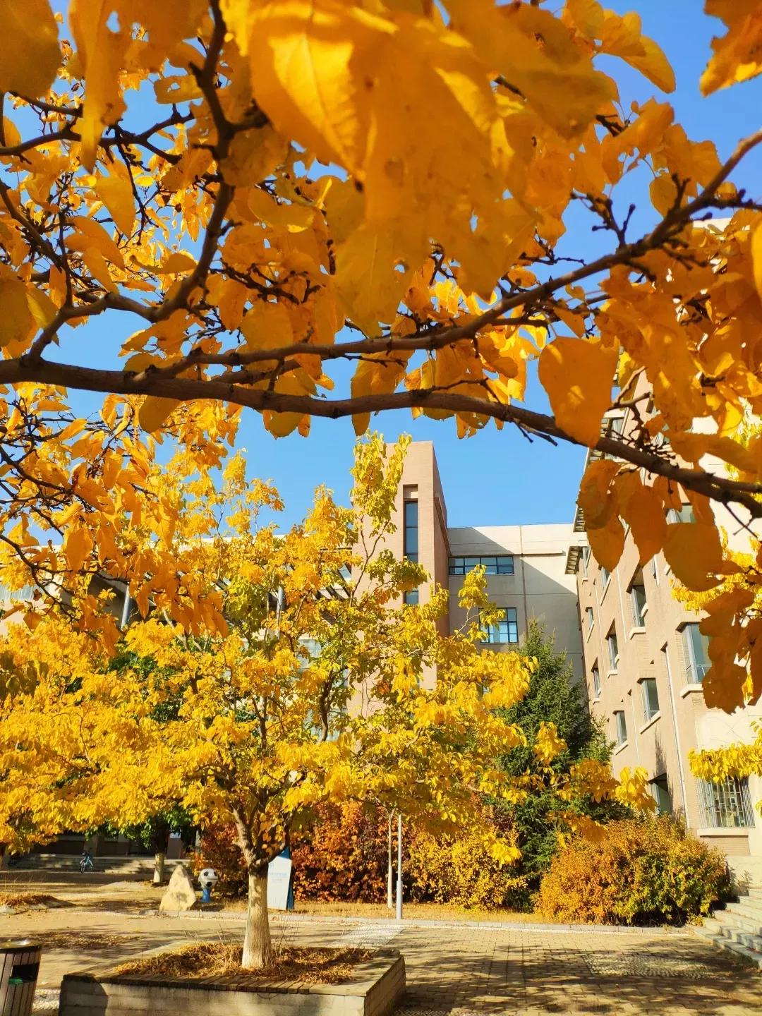 辽宁省普通高等院校（二十五）沈阳工程学院
