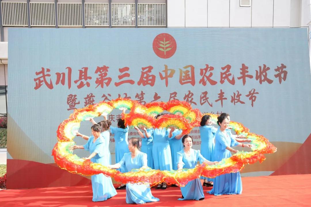 第三届中国农民丰收节汝南,益阳市第三届中国农民丰收节举行