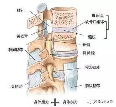 腰椎间盘突出4-5压迫神经康复训练,腰椎间盘突出症的最佳锻炼方法