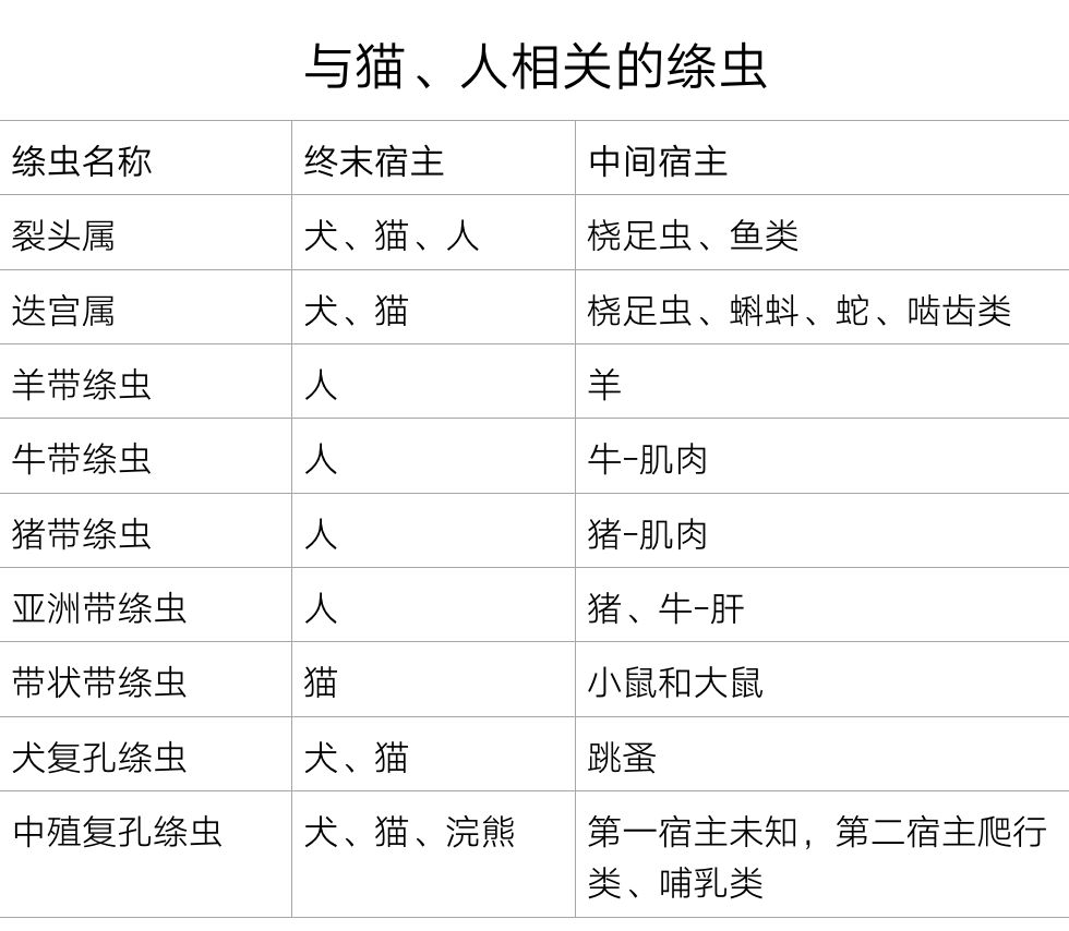 猫咪身上的寄生虫怎么处理,按时驱虫的猫咪还会有寄生虫吗