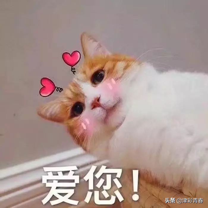 青春有约津彩团相亲活动,青春有约精彩团缘报名