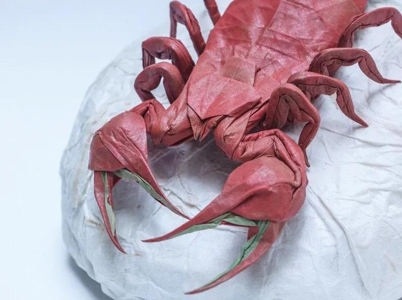 叹为观纸折纸作品,最近超火的纸手工