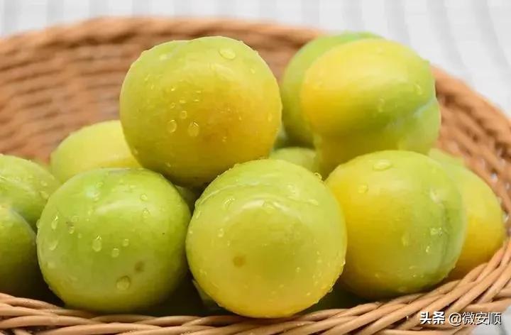 你好！我叫安顺，这是我2021最新简历