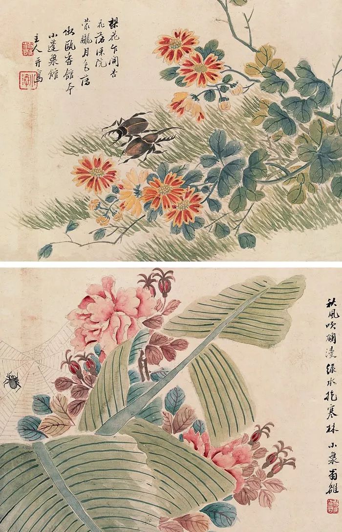 清代花鸟鱼虫画,清代国画名家花鸟鱼虫