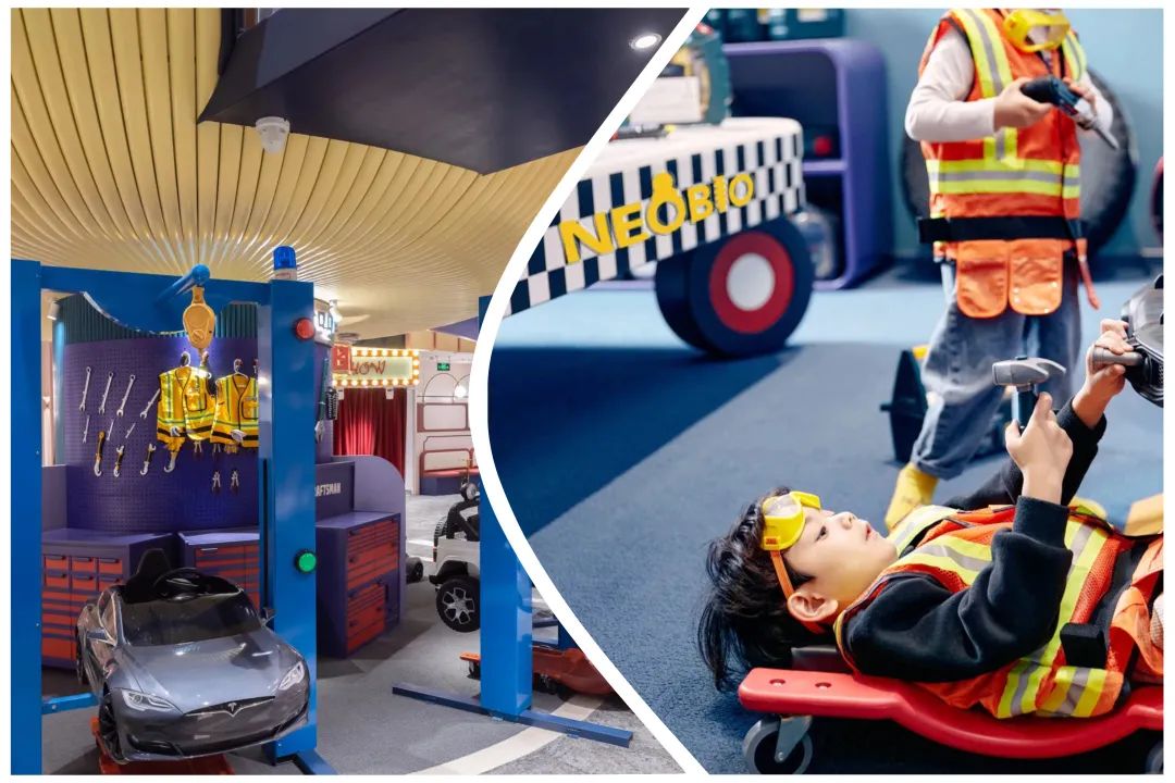 带娃去看世界,带娃看世界旅游