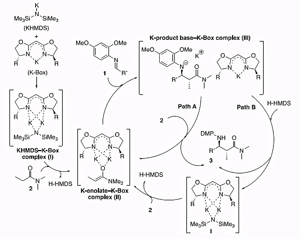 新发现的奇特配体：手性钾盐K-Box