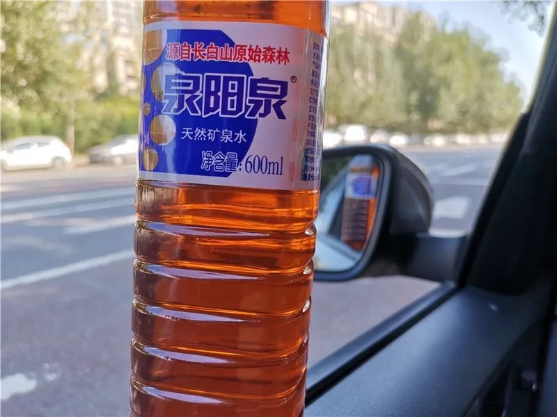 一任天真盈香易泡:冷泡,闷泡,淋泡轮番上阵怎么泡都好喝