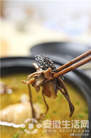 鍚堣偉鑺卞洯椁愬巺鎺ㄨ崘,鍚堣偉鑺卞洯椁愬巺