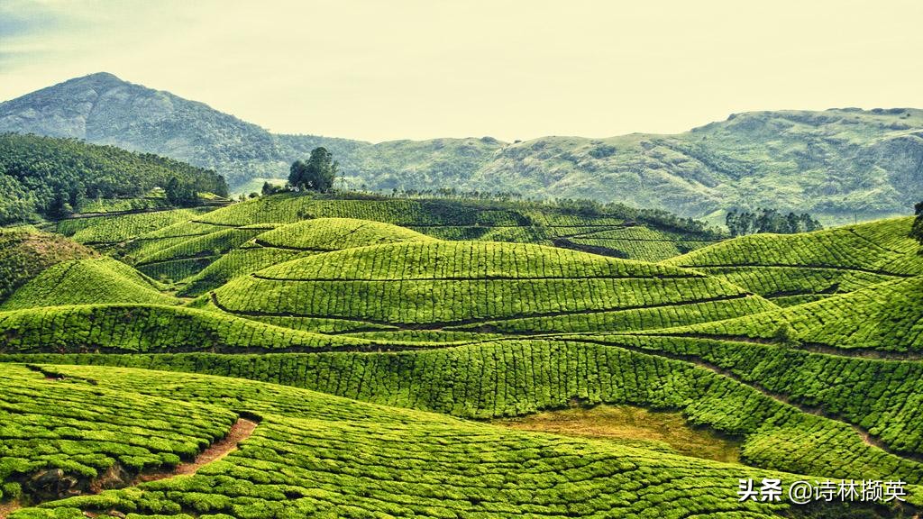 诗词飞花令青山,含有青山二字的诗词飞花令