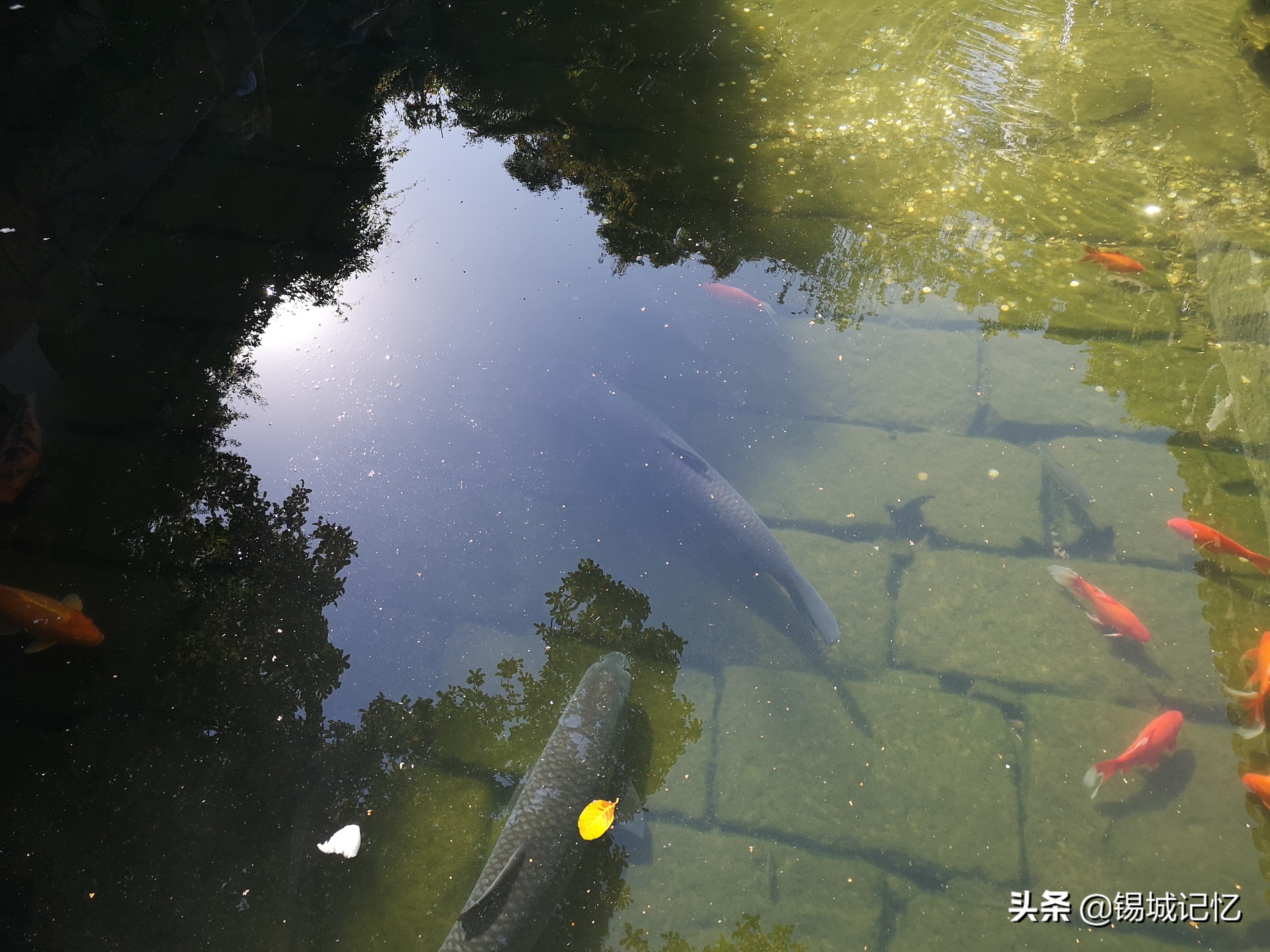 无锡第一古镇是哪个区,无锡惠山古镇讲解视频