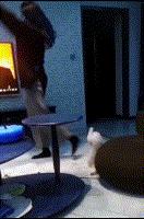 学日语被骂是活该吗,当你学日语被误会成汉奸